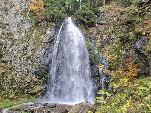 Queureuilh Mont-Dore