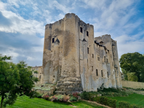 Niort - Donjon